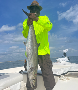 King Mackerel Fishing in Florida!